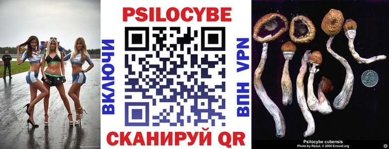 Псилоцибиновые грибы Magic Shrooms  Купить  Бежецк 