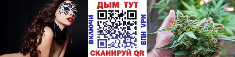 Купить  Бежецк  Бошки марихуана AK-47 